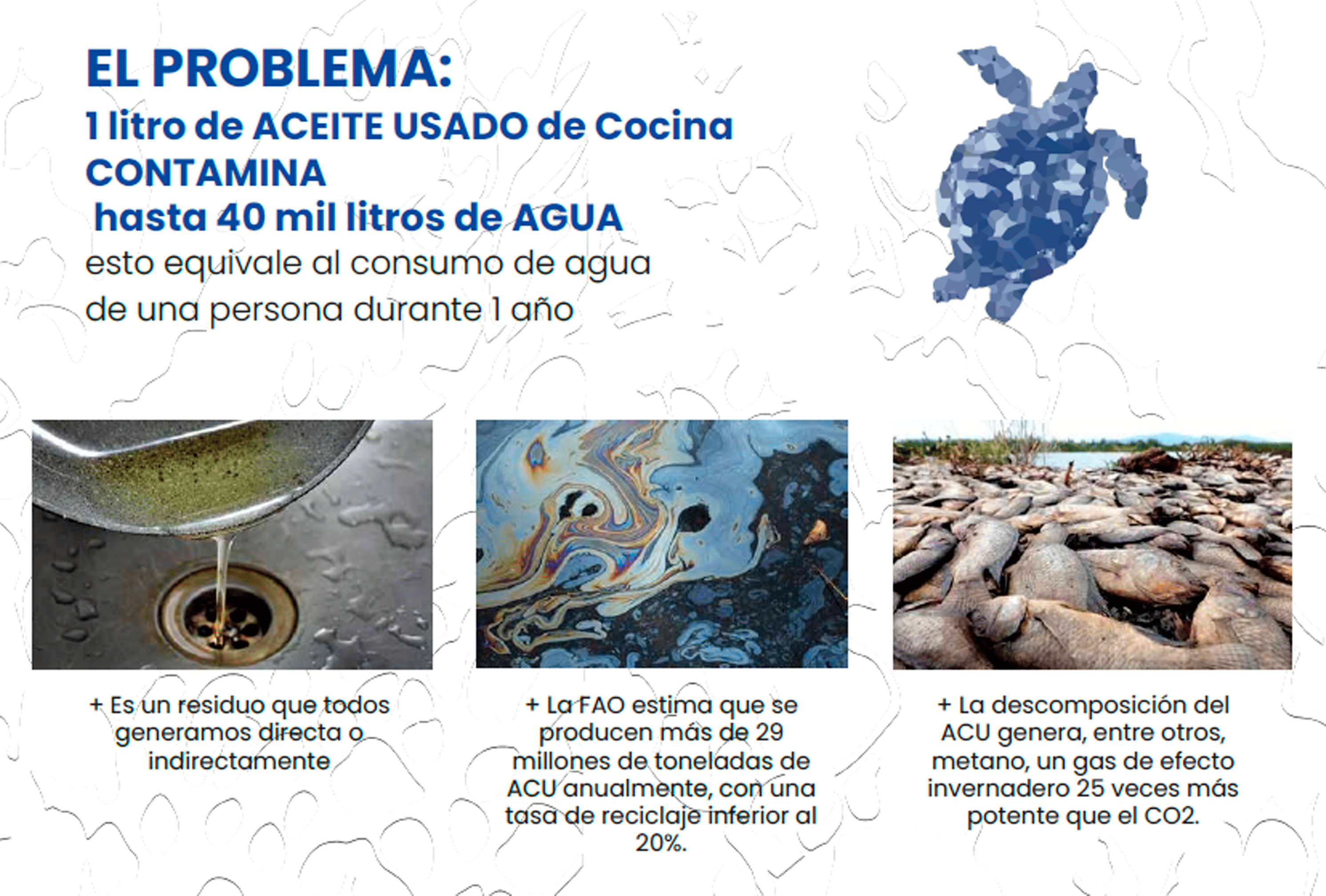 Imagen destacada