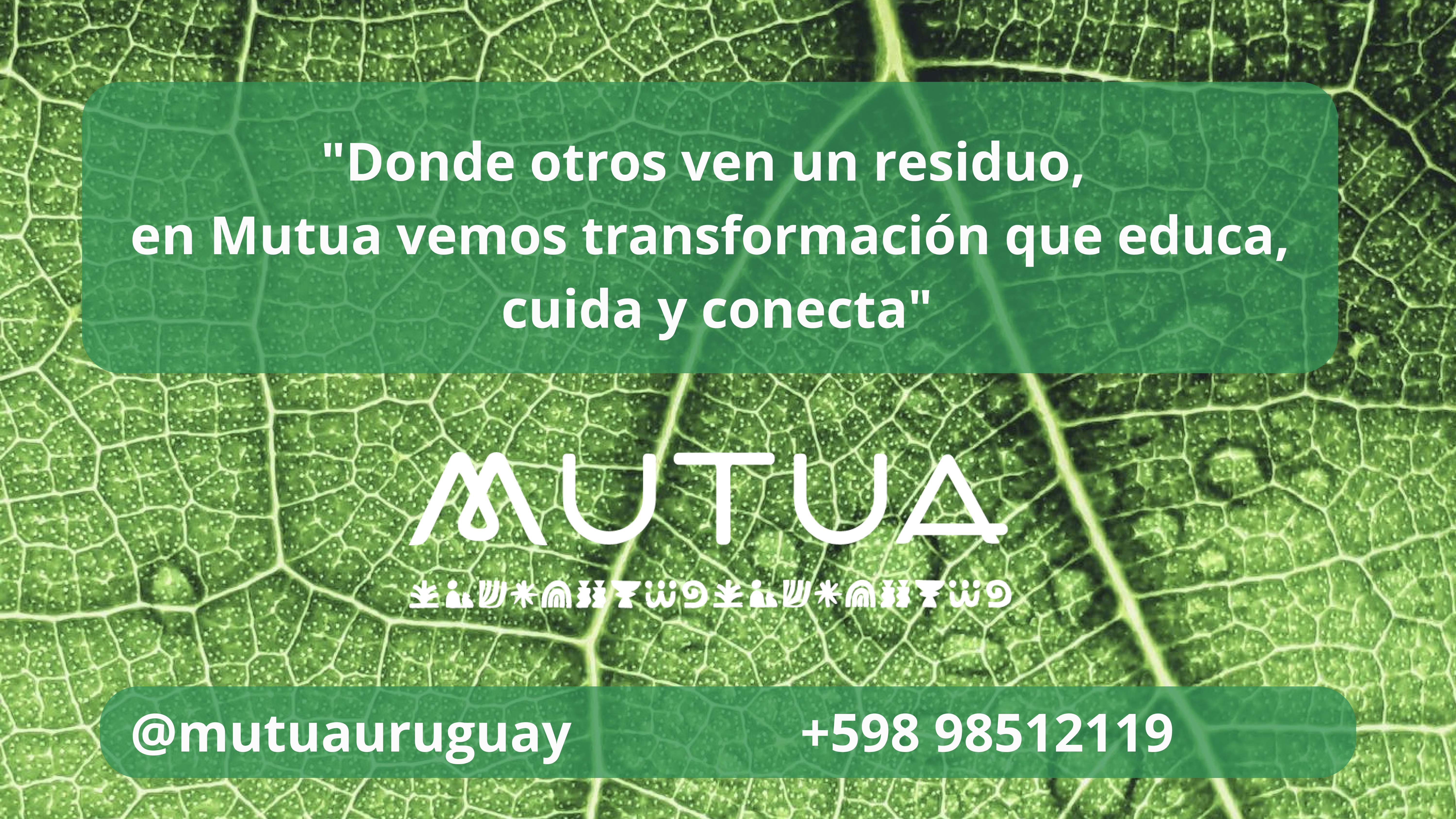 Imagen destacada